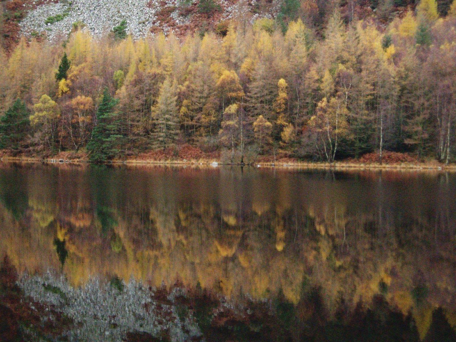 Llyn Geirionydd Circular
