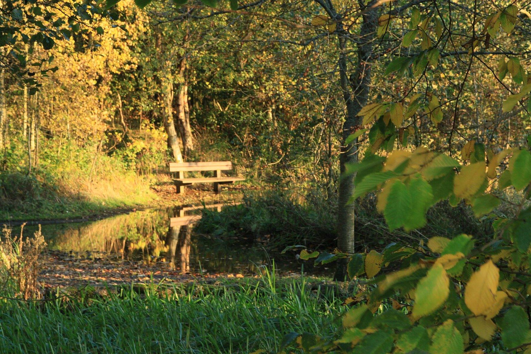 Lochore Meadows Country Park Loch Circuit