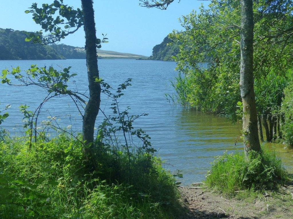 Loe Pool and Penrose Estate Circular