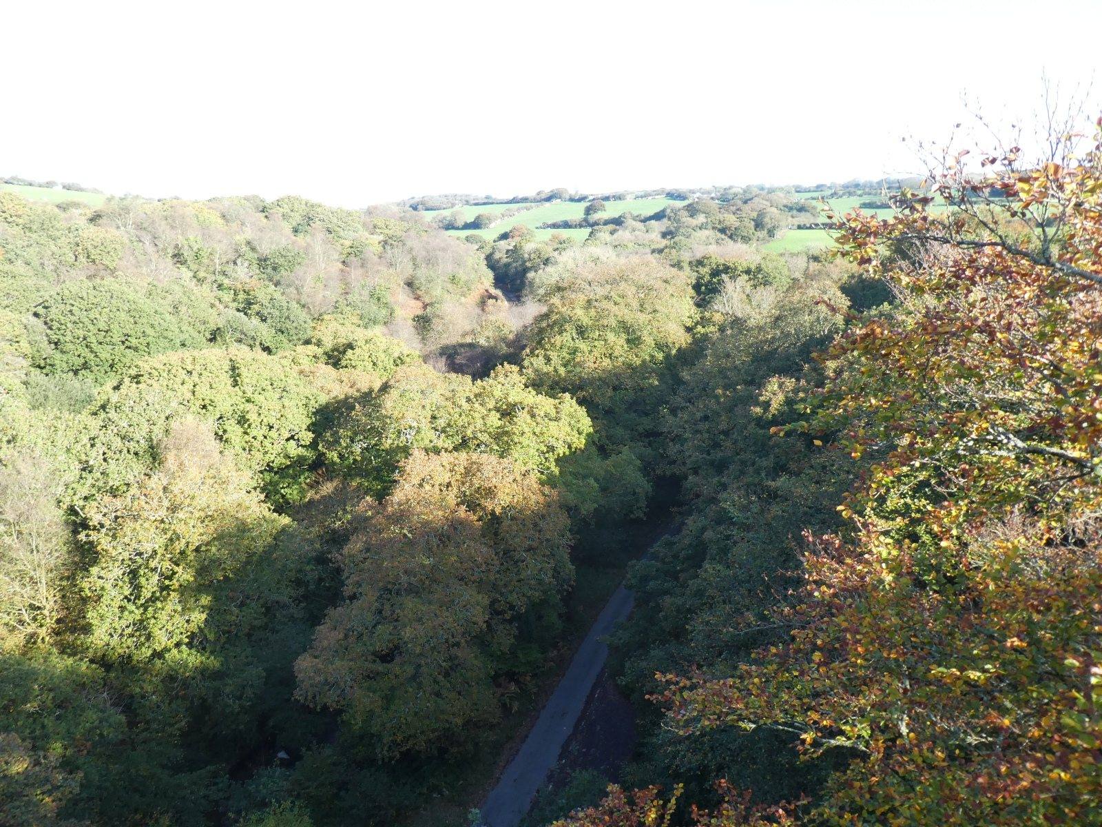 Luxulyan Valley and Treffry Viaduct Circular