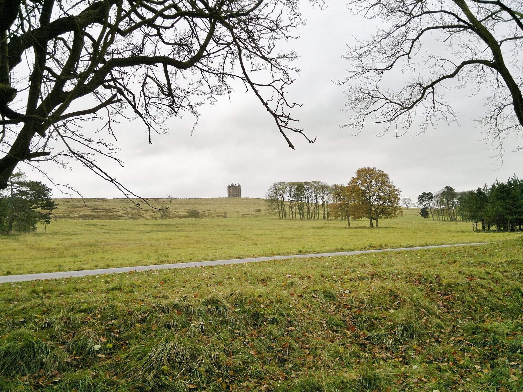 Lyme Park, the Cage and Lantern Wood