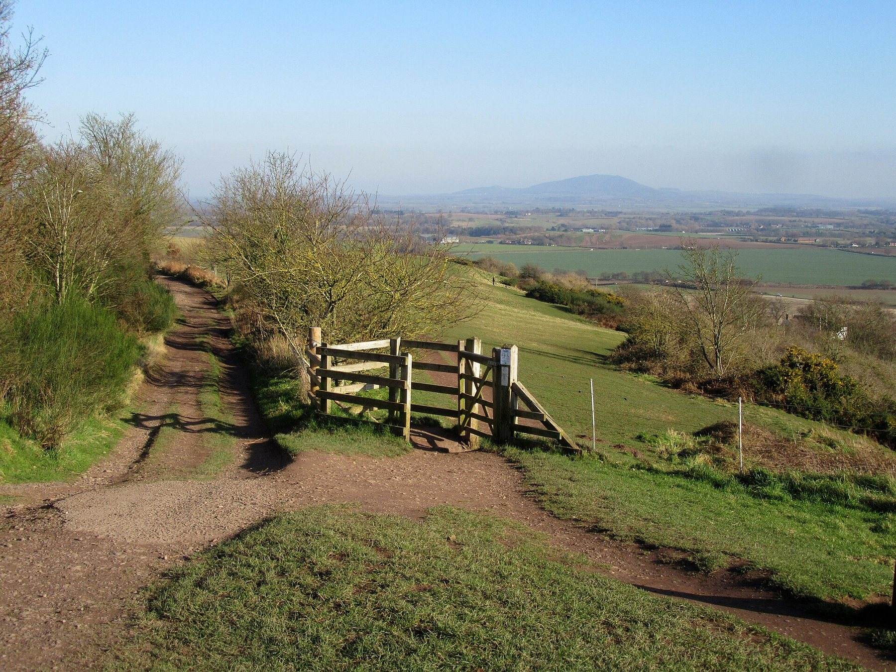 Lyth Hill and Spring Coppice