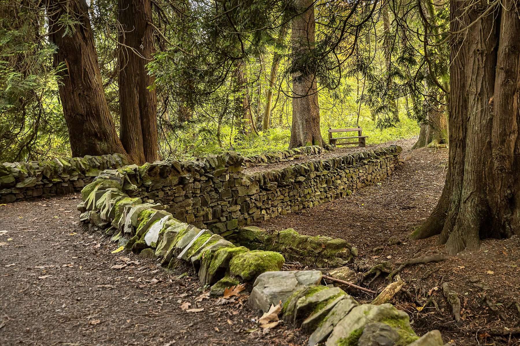 Mabie Forest: Dalshinnie Glen Trail