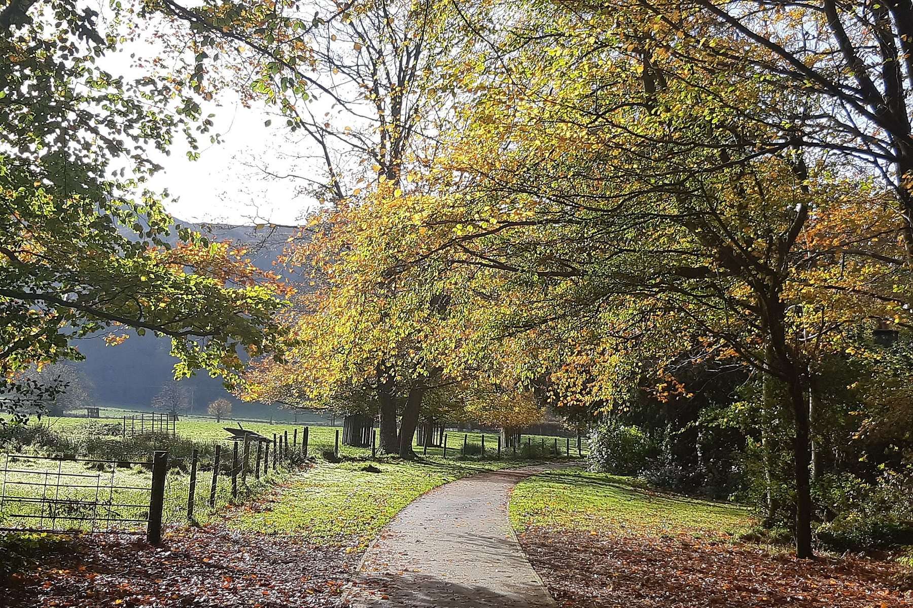 Machynlleth and Parc Circular on Glyndŵr's Way