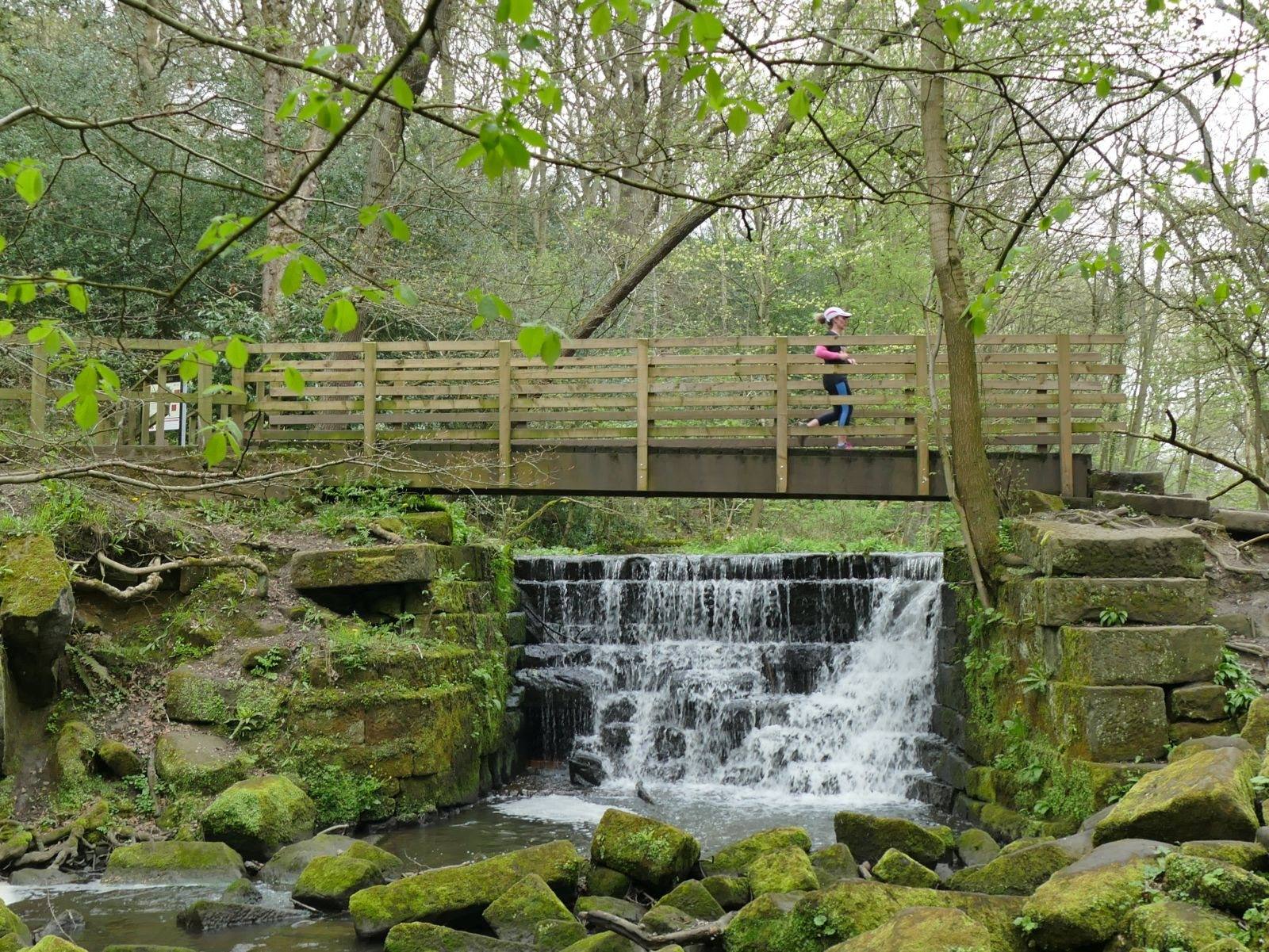 Meanwood Valley Trail: Meanwood Park to Seven Arches
