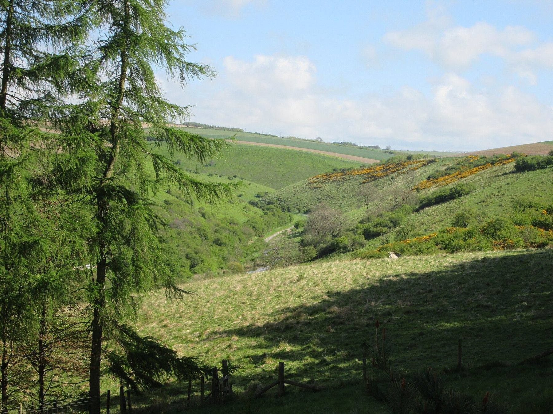 Millington Wood and Millington Pastures Circular