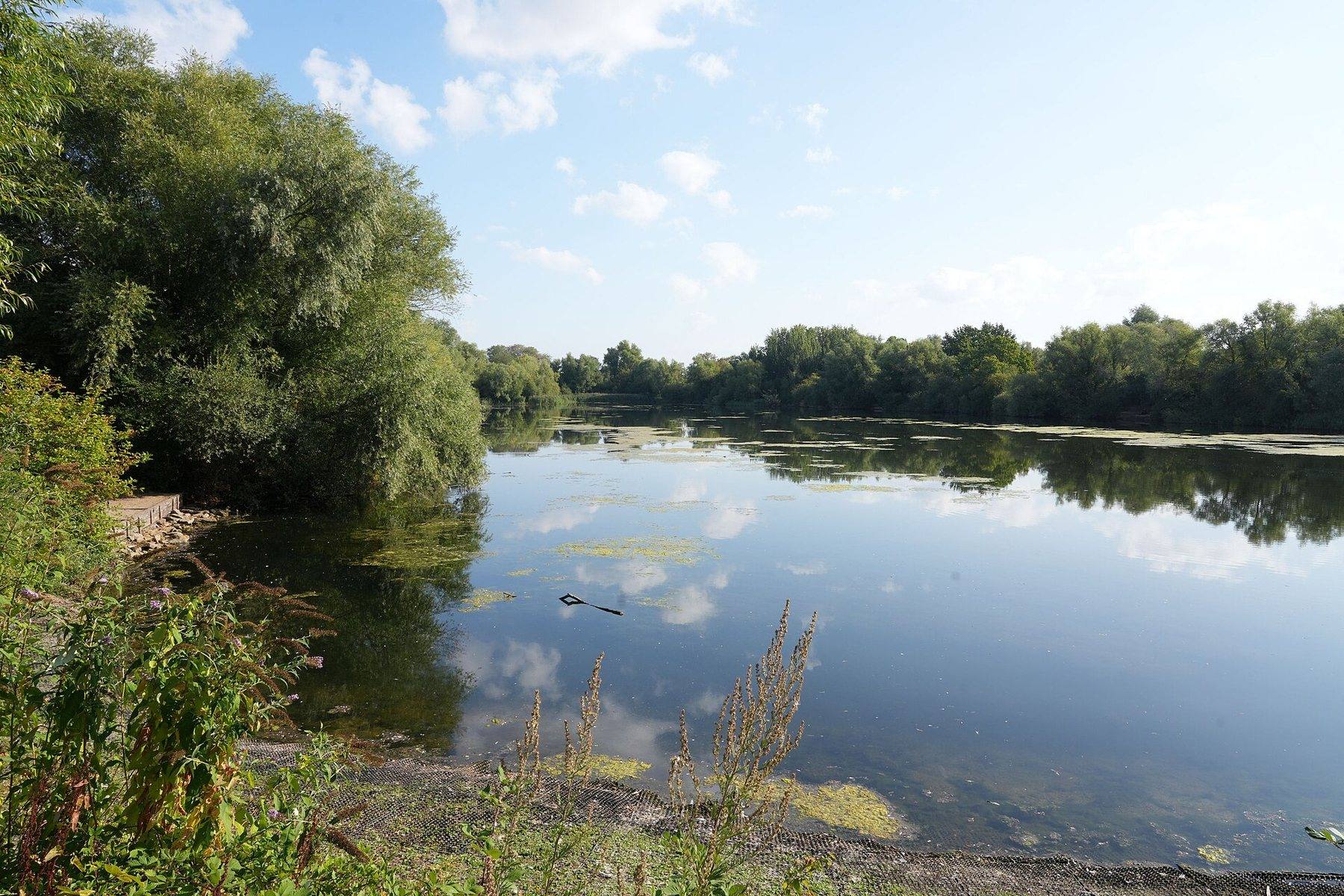 Milton Country Park Lakes Circuit