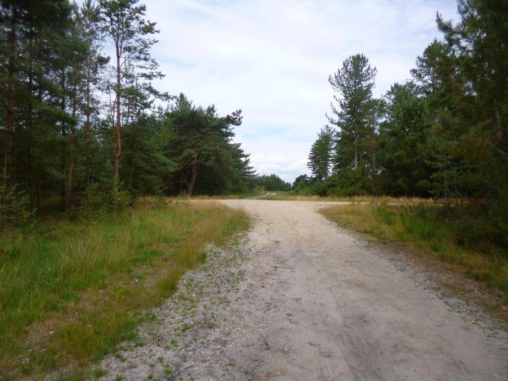 Moors Valley Lake and Forest Walk