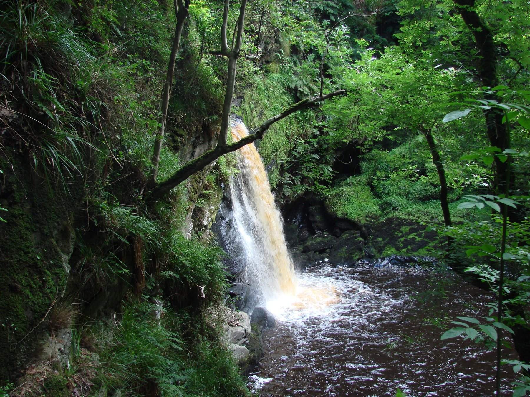 Ness Country Park Waterfall Walk