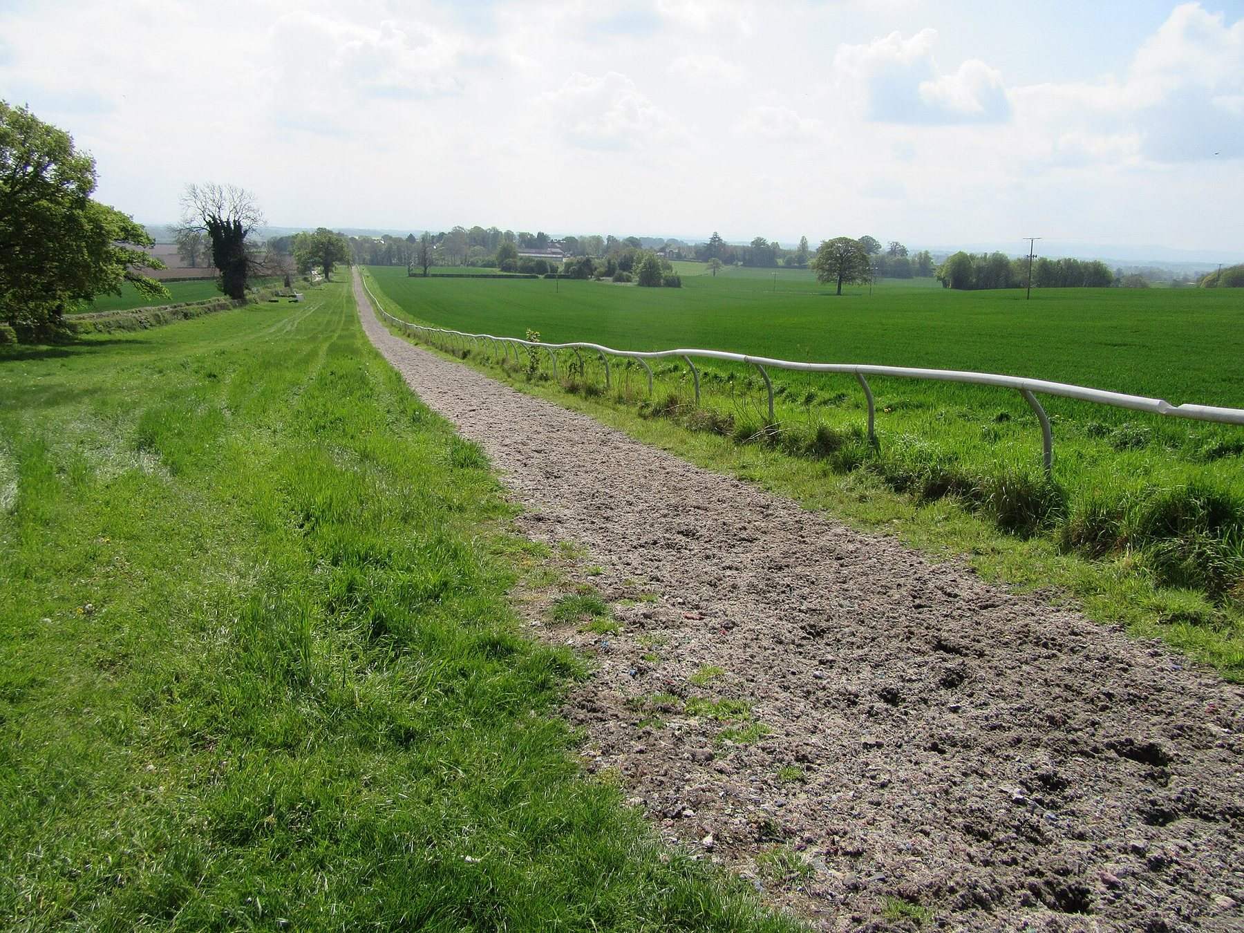 Nesscliffe Hill and Kynaston's Cave