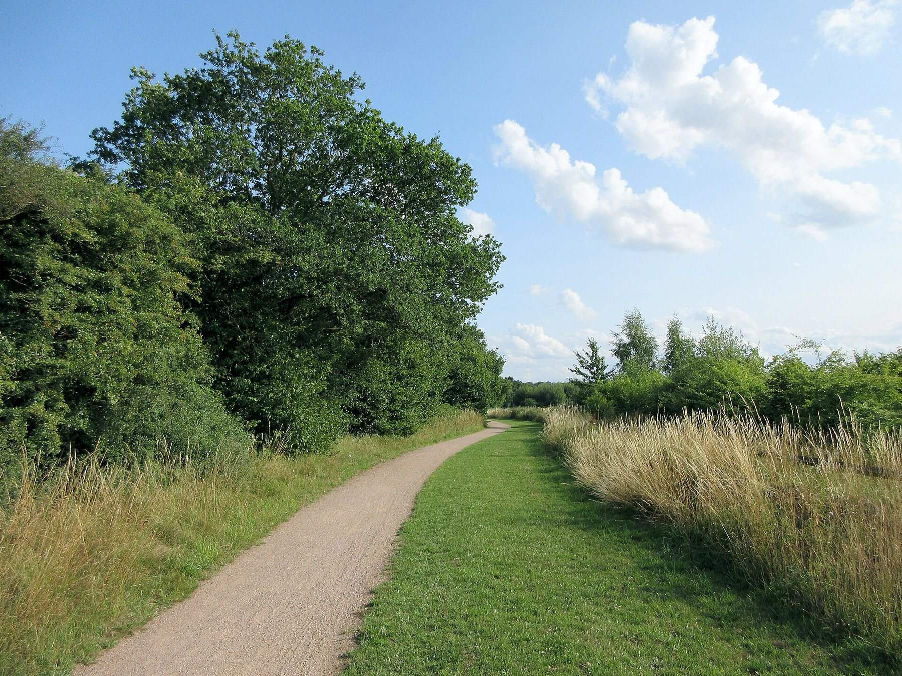 Nomansland Common Walk
