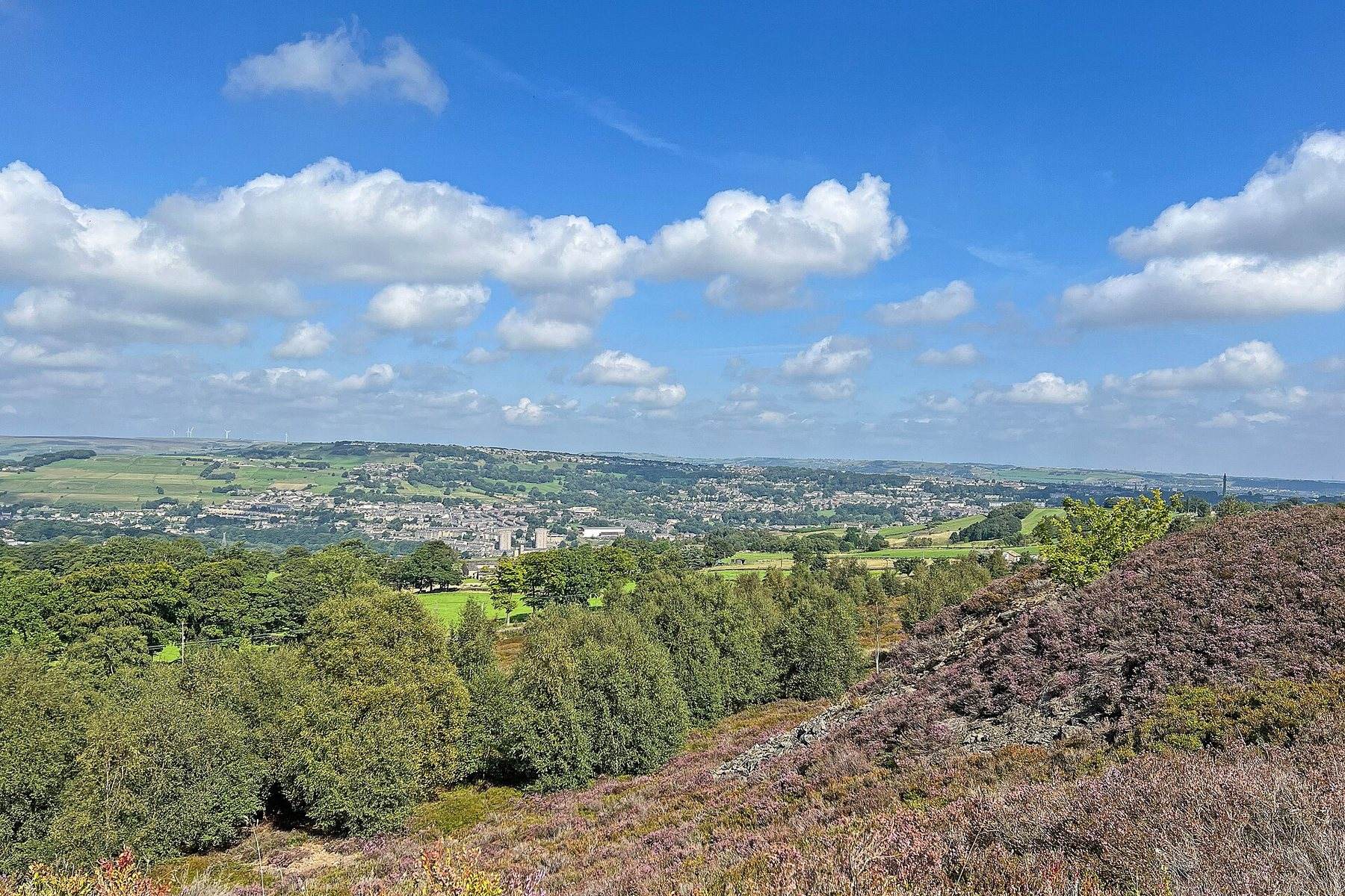 Norland Moor and Ladstone Rock