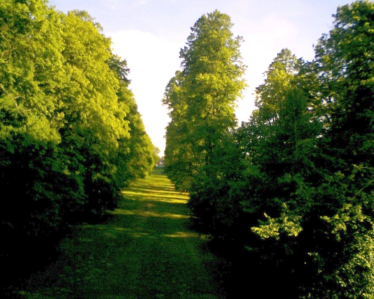 Nowton Park Arboretum Walk