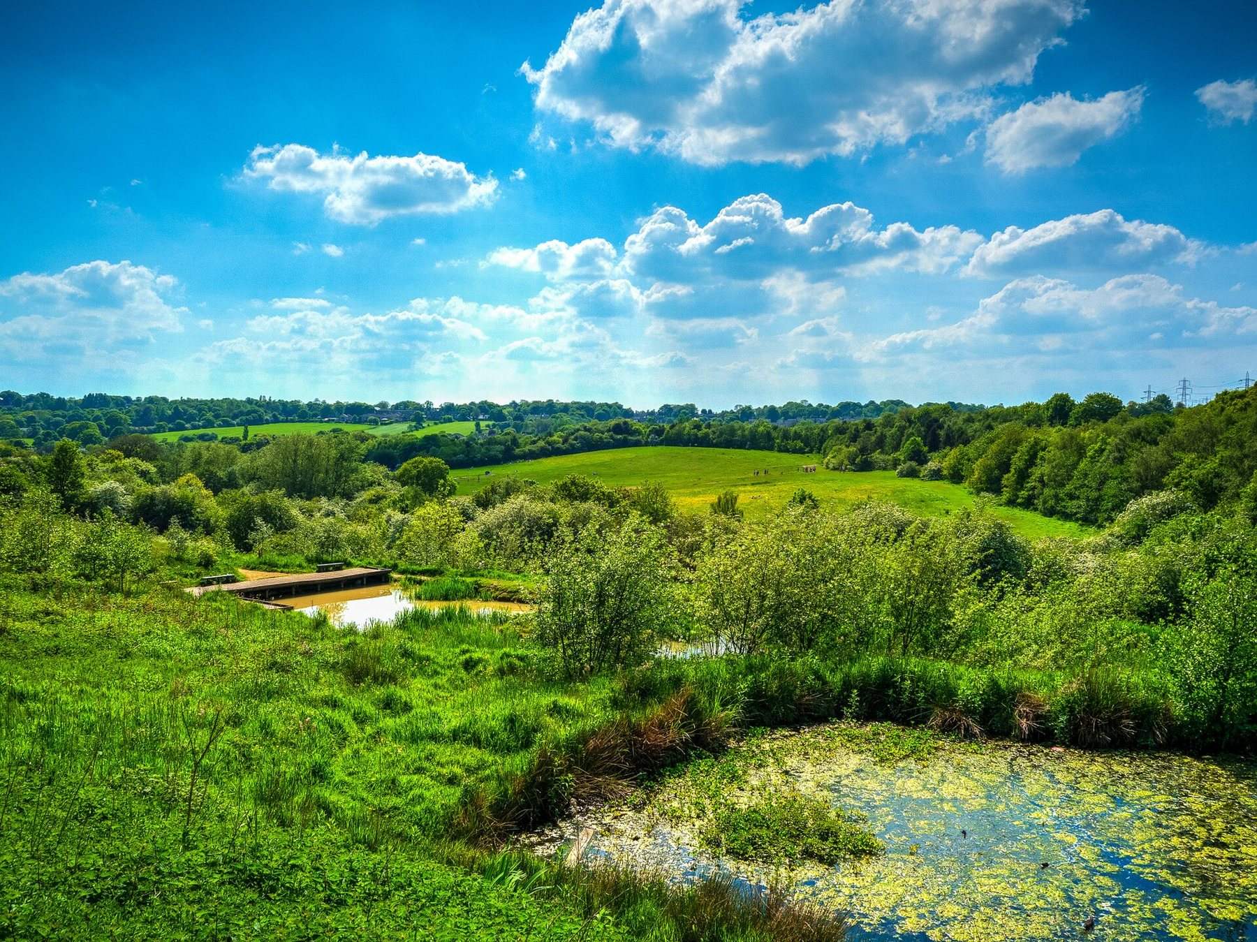 Oakwell Hall Country Park Circular