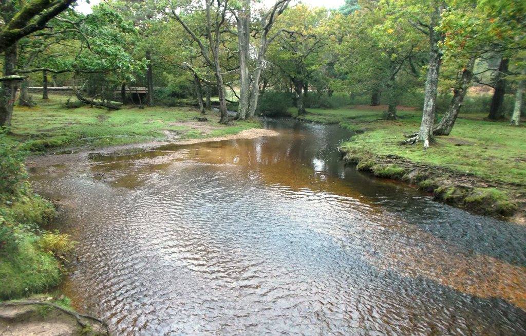 Ober Water and Puttles Bridge