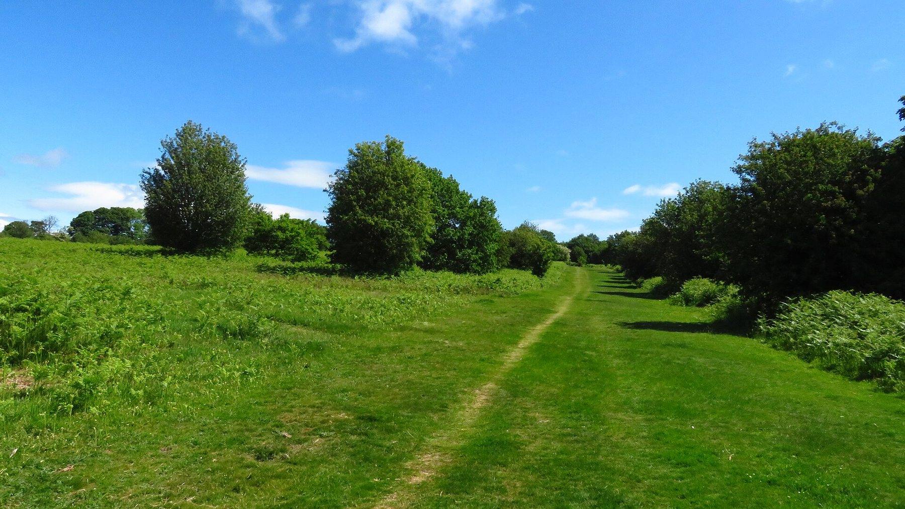 Oswestry Old Racecourse Common