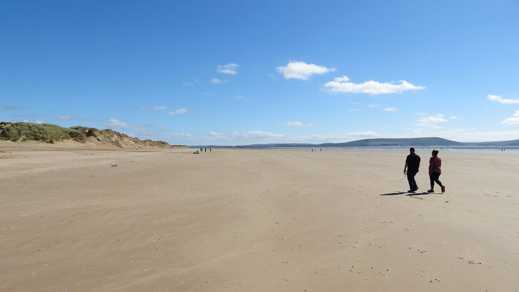 Pembrey Forest Pines and Shells Trail