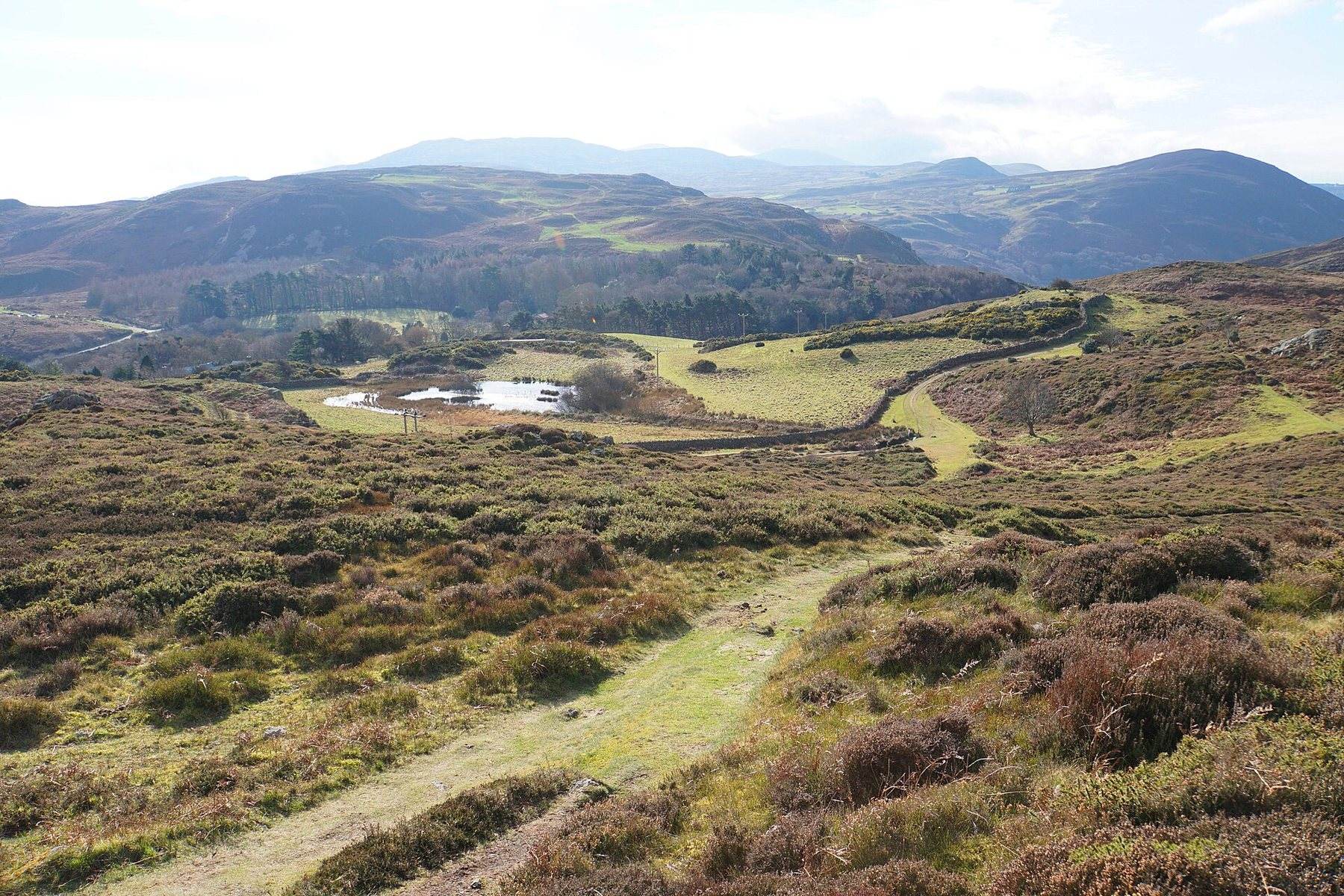 Pensychnant Upland Walk from Sychnant Pass