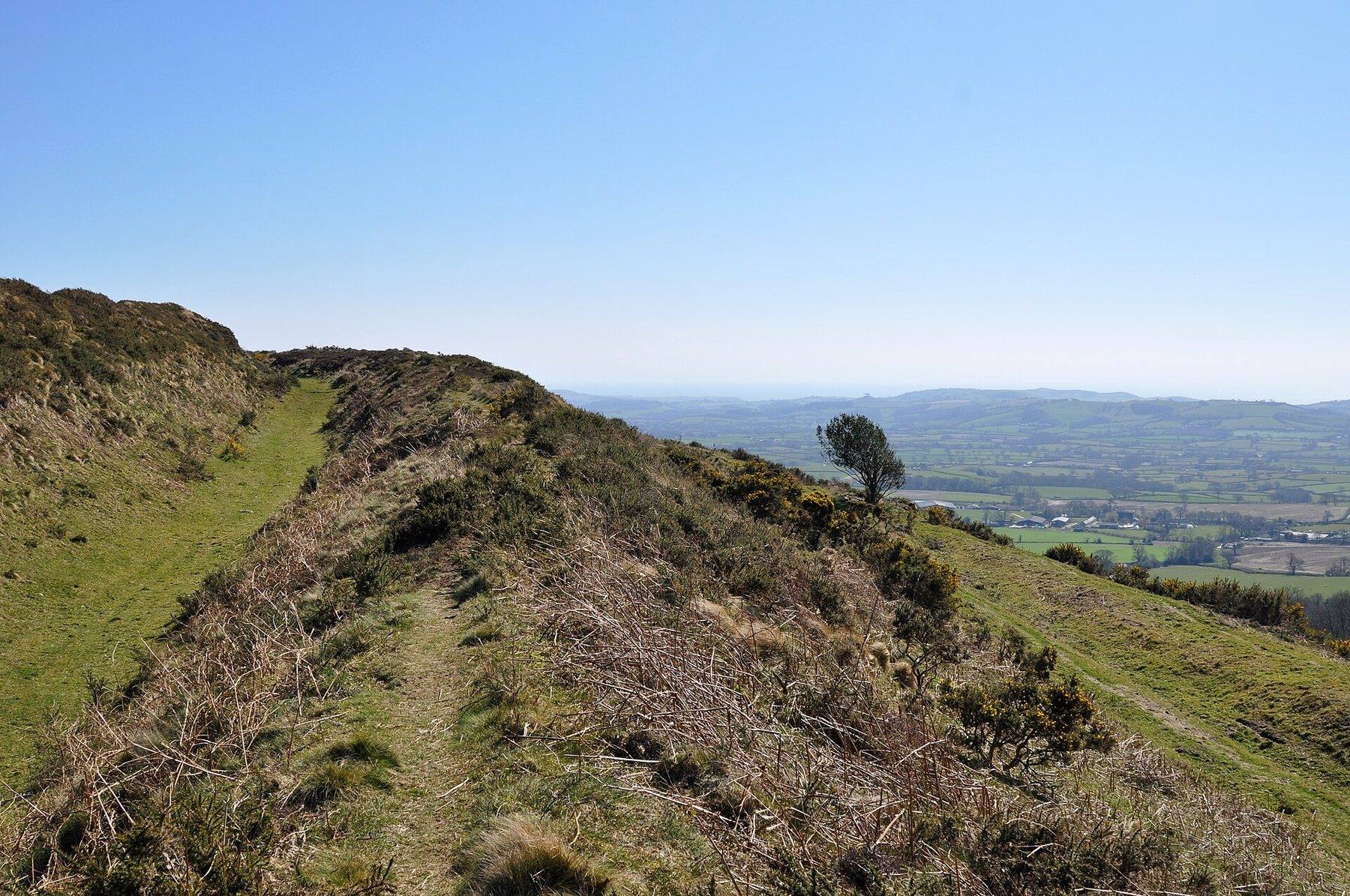 Pilsdon Pen Circular Walk