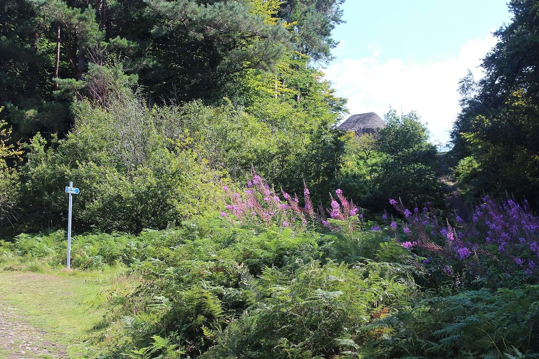 Pontypool Park and the Folly Tower