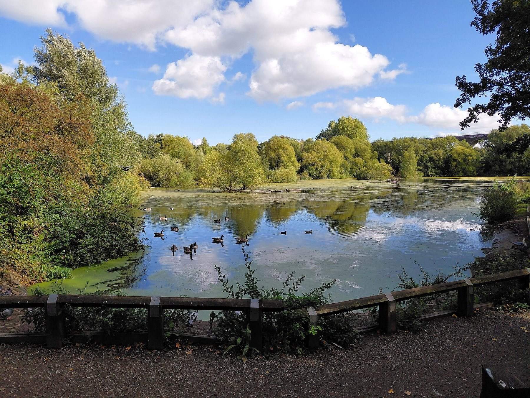 Reddish Vale Country Park