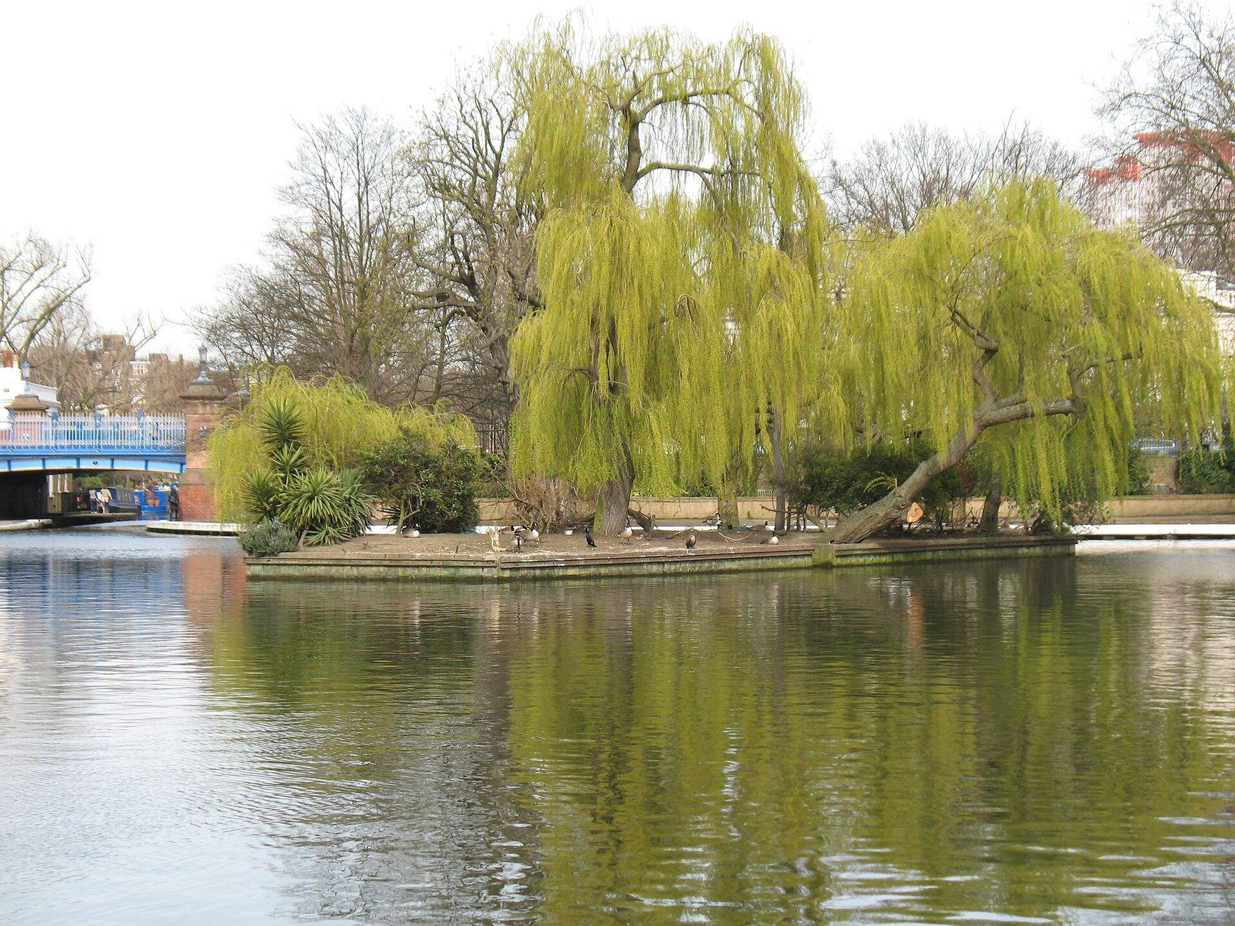 Regent's Canal: Little Venice to Camden Lock