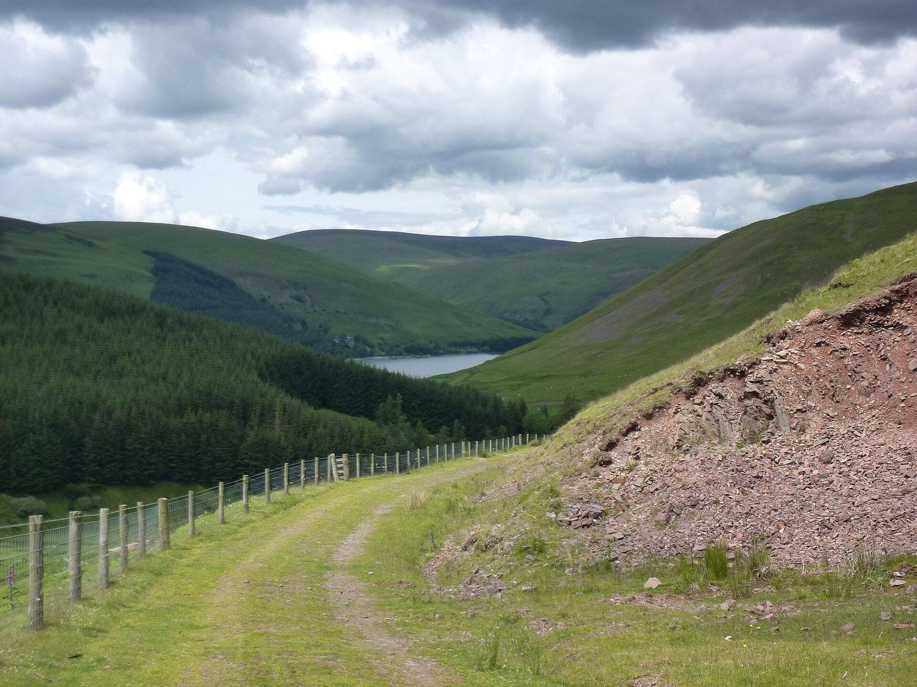 Ring of St Mary's Loch