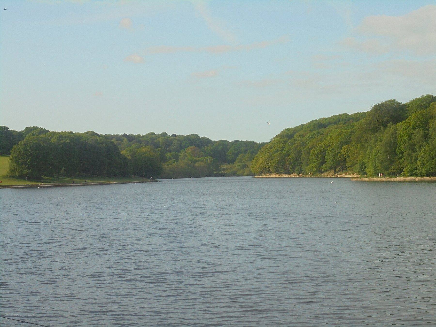 Roundhay Park and Waterloo Lake Loop