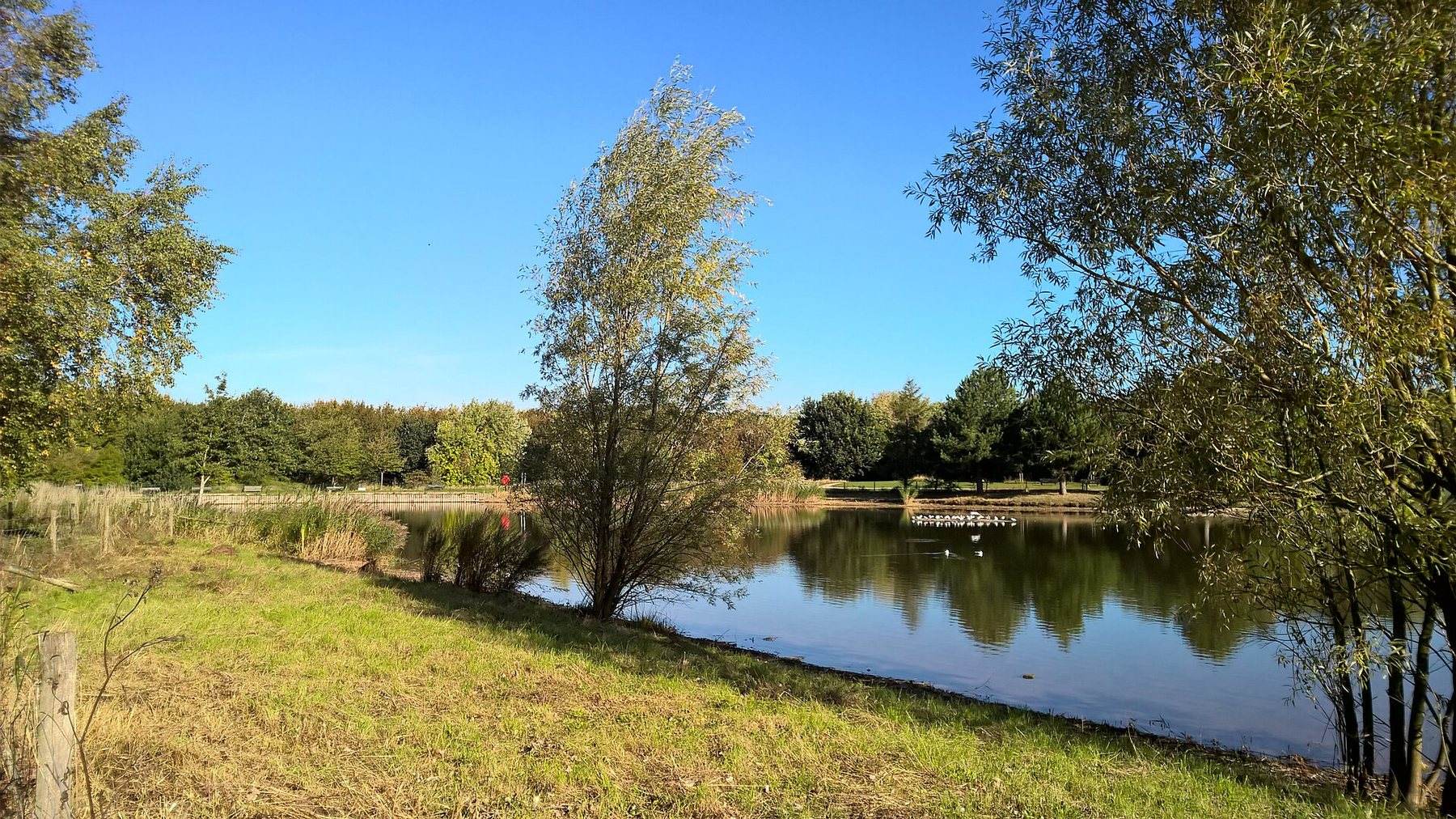Rushcliffe Country Park Circular, Ruddington