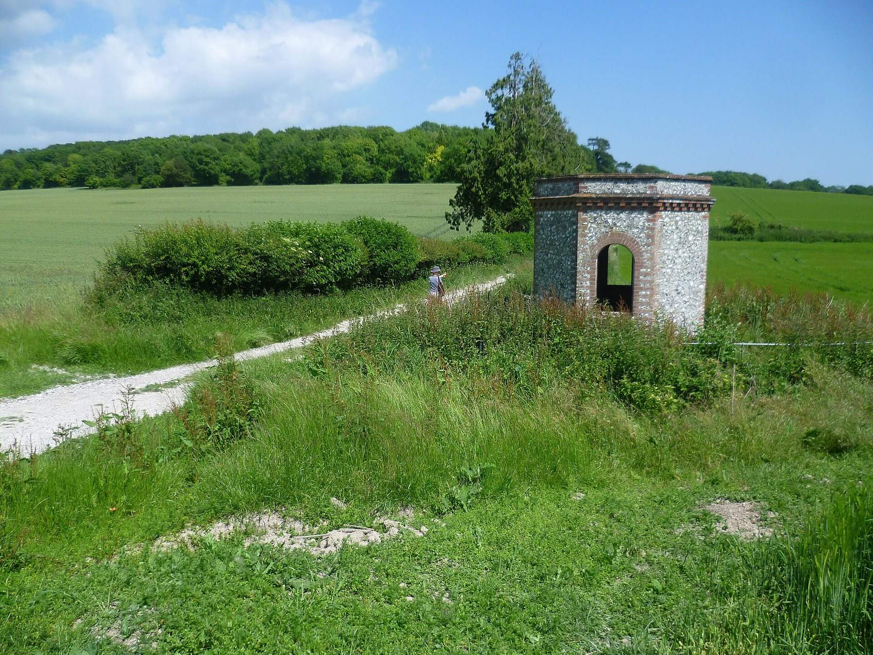 Slindon Estate: Nore Hill Folly Walk