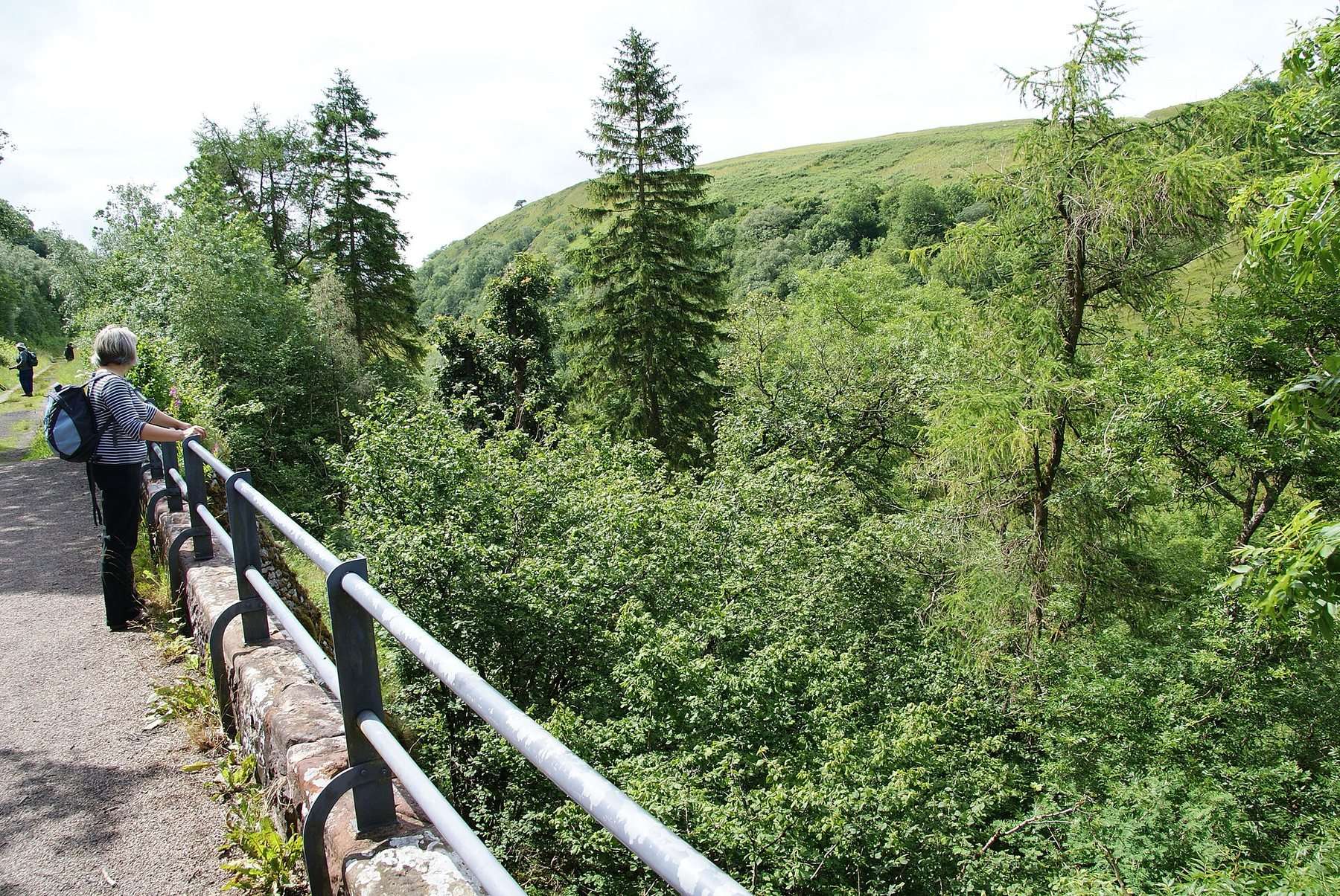 Smardale Gill Viaduct and Nature Reserve
