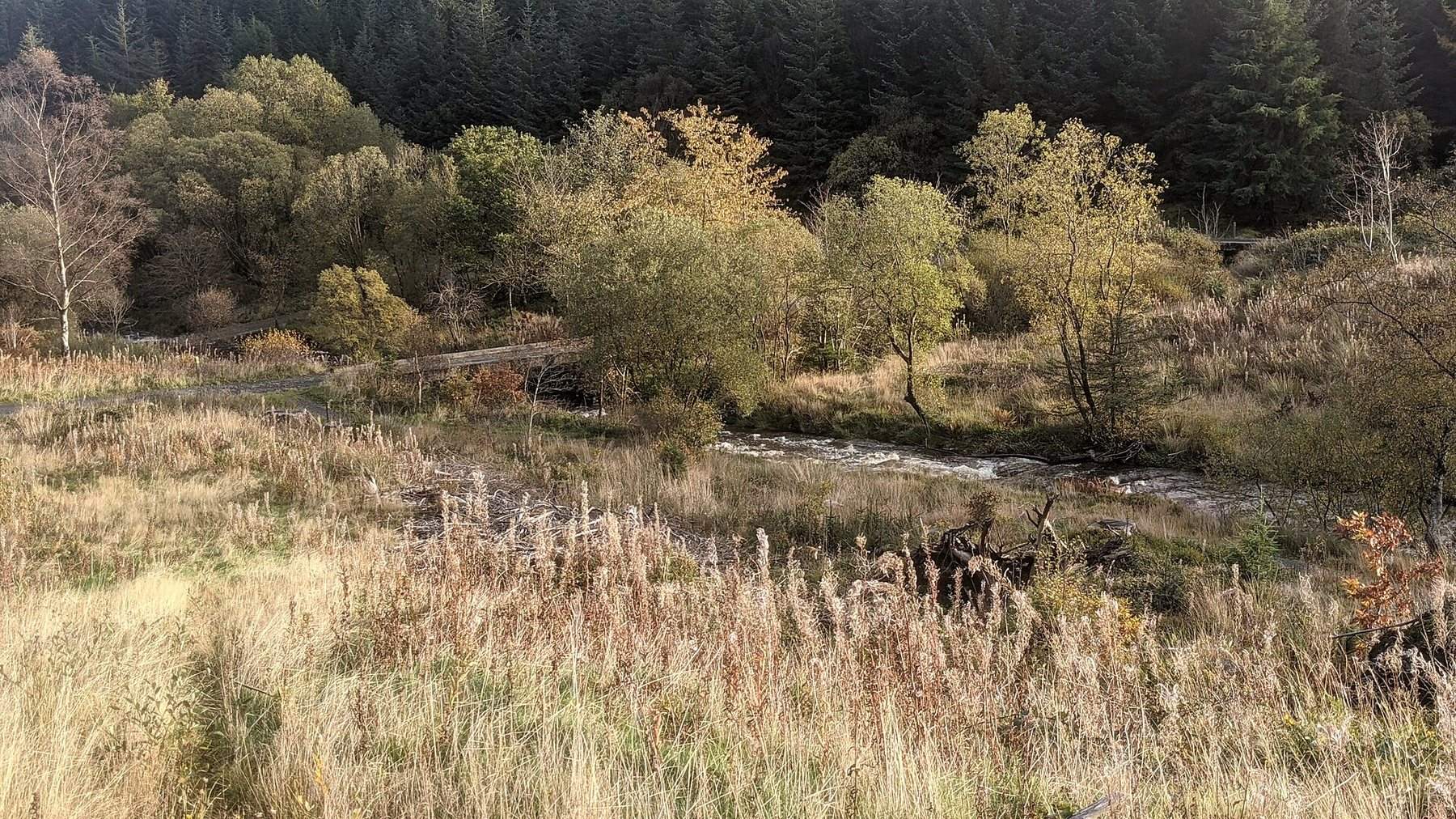 Source of the Severn from Hafren Forest
