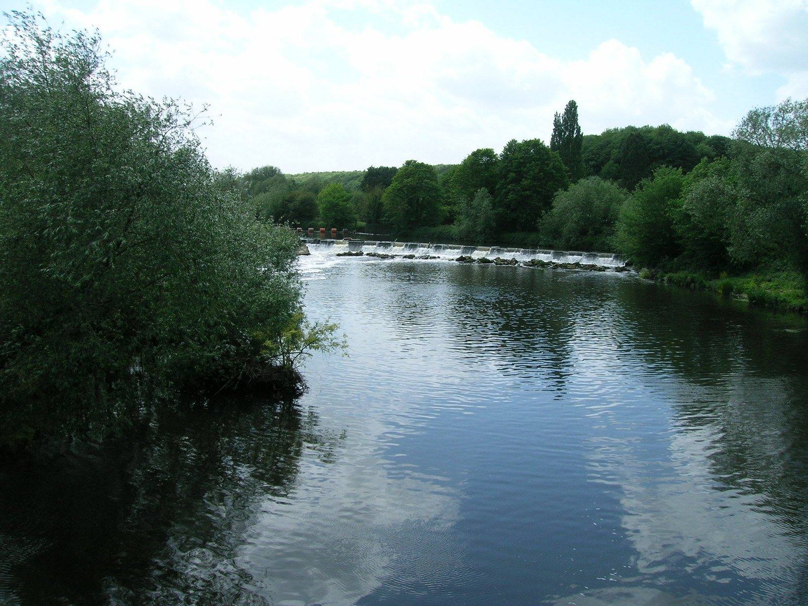 Sprotbrough Flash and Don Gorge Nature Reserve Walk