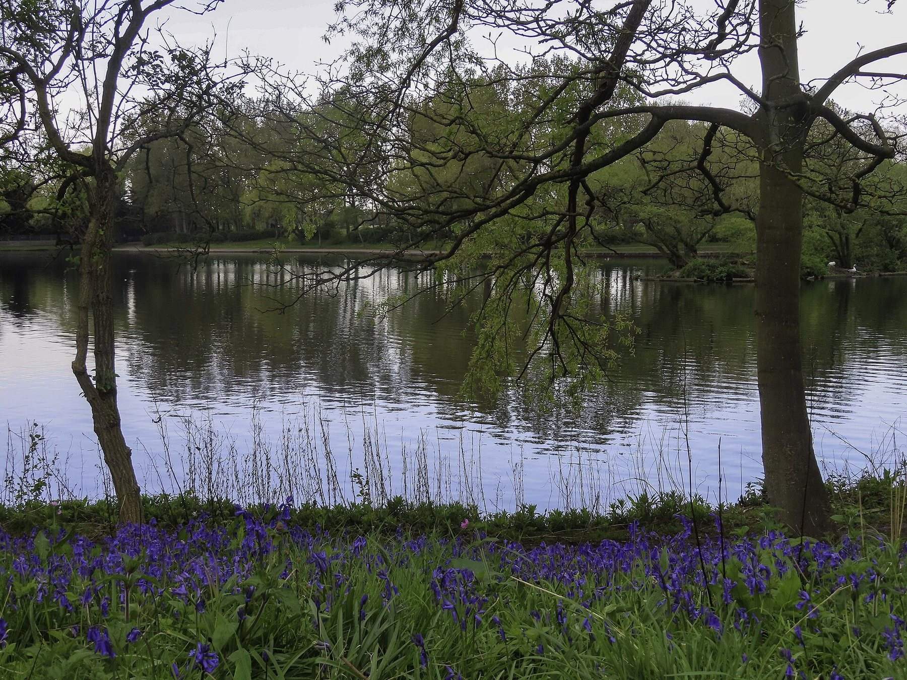 Stanley Park, Blackpool