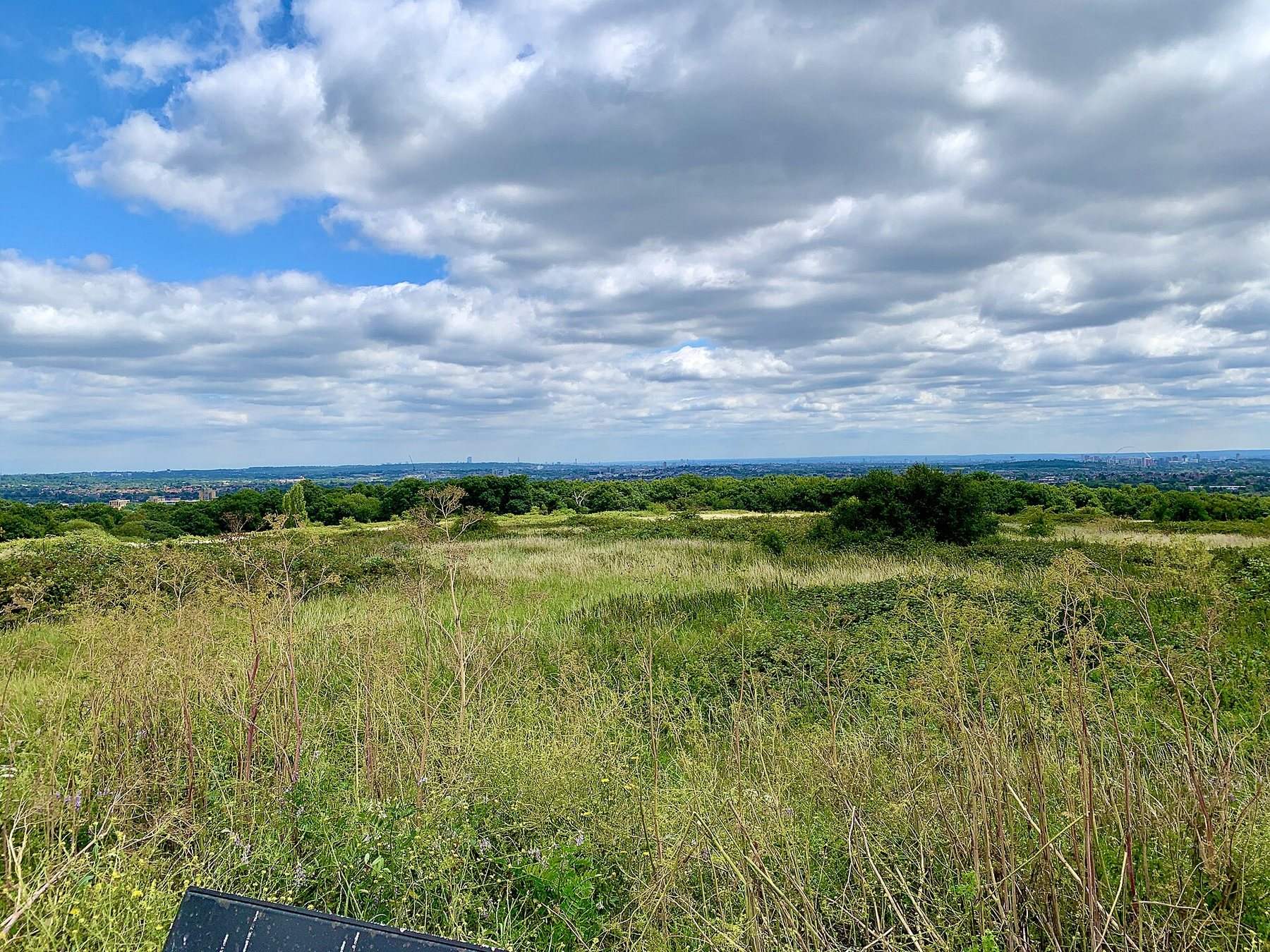 Stanmore Common, Bentley Priory and Stanmore Country Park
