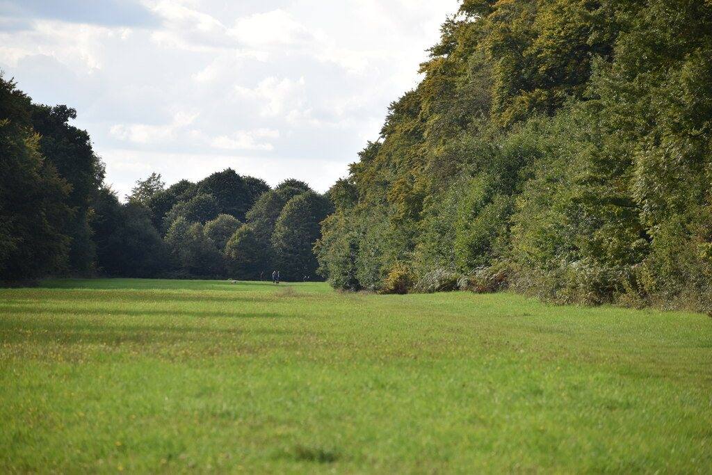 Stansted Forest