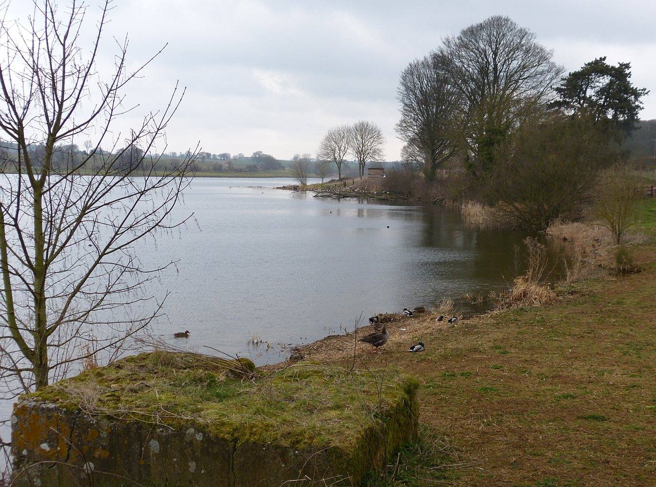 Sywell Country Park Reservoir Circuit
