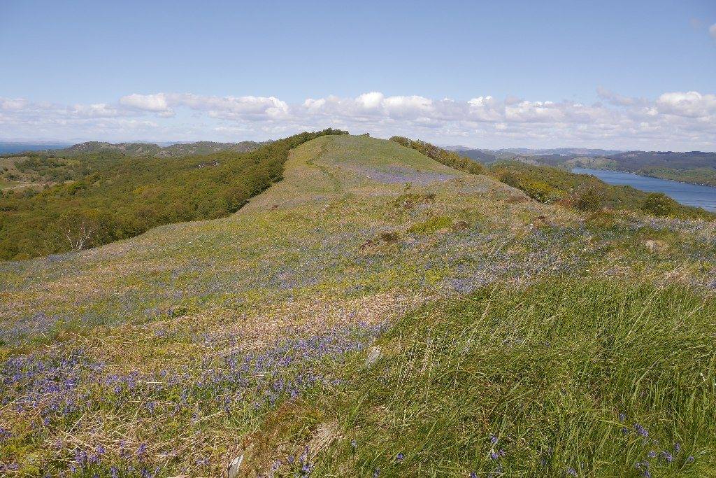 Taynish National Nature Reserve Trails