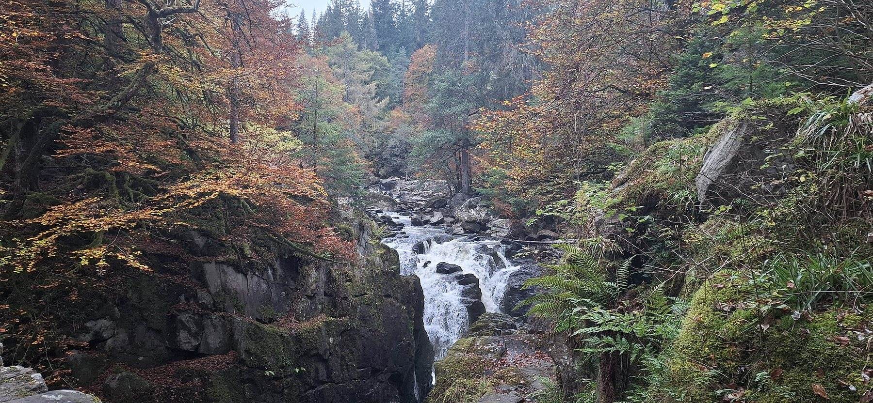 The Hermitage and the Braan Walk, Dunkeld