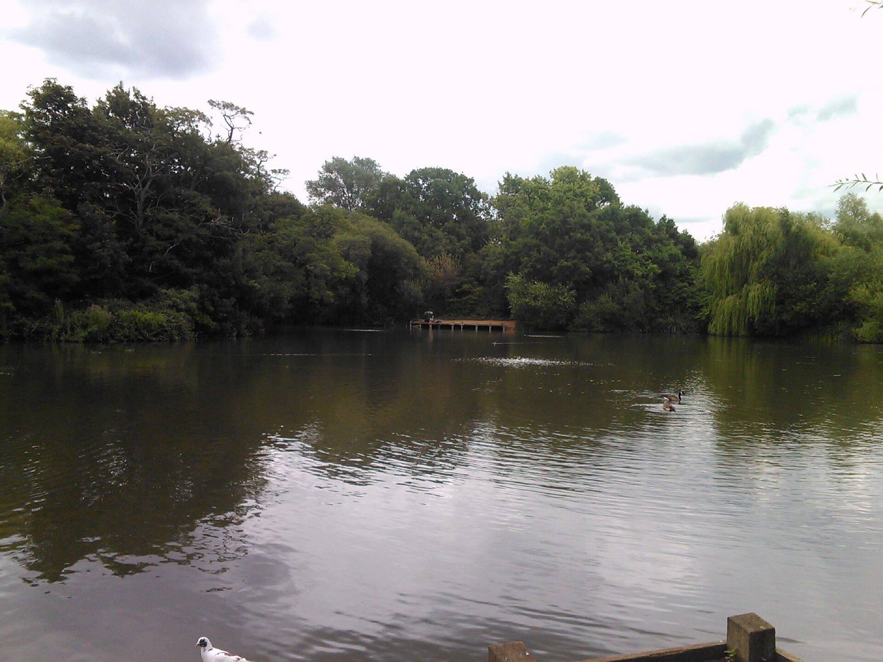 Tooting Common Circular