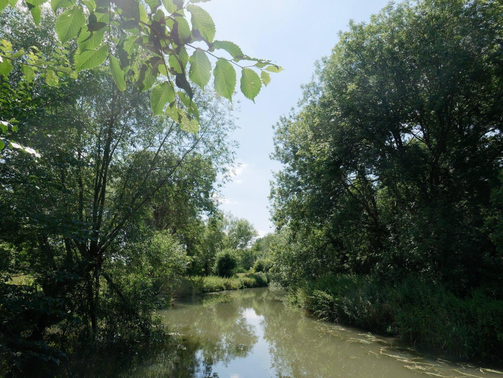 Trumpington Meadows Country Park Walk