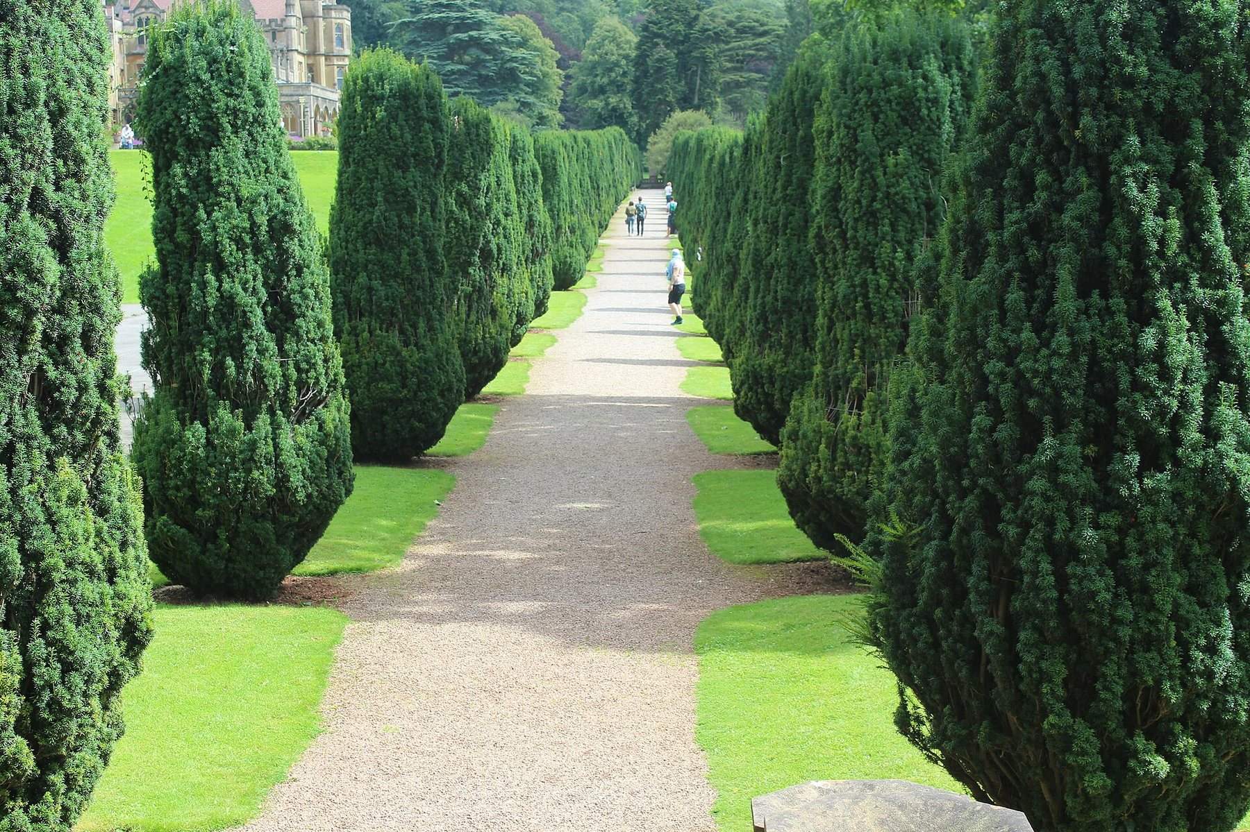 Tyntesfield Tynings and Sidelands Circular
