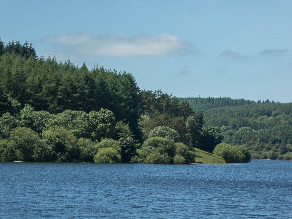 Usk Reservoir Trail, Glasfynydd Forest