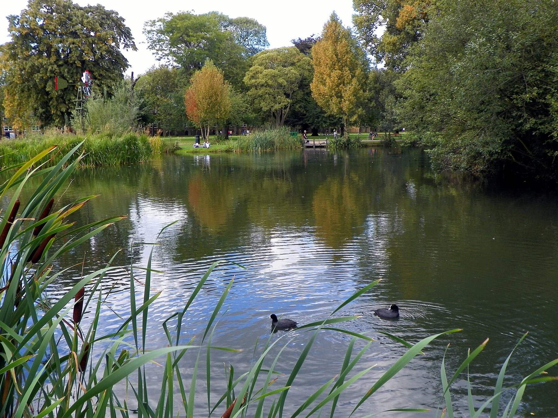 Victoria Park Perimeter Walk