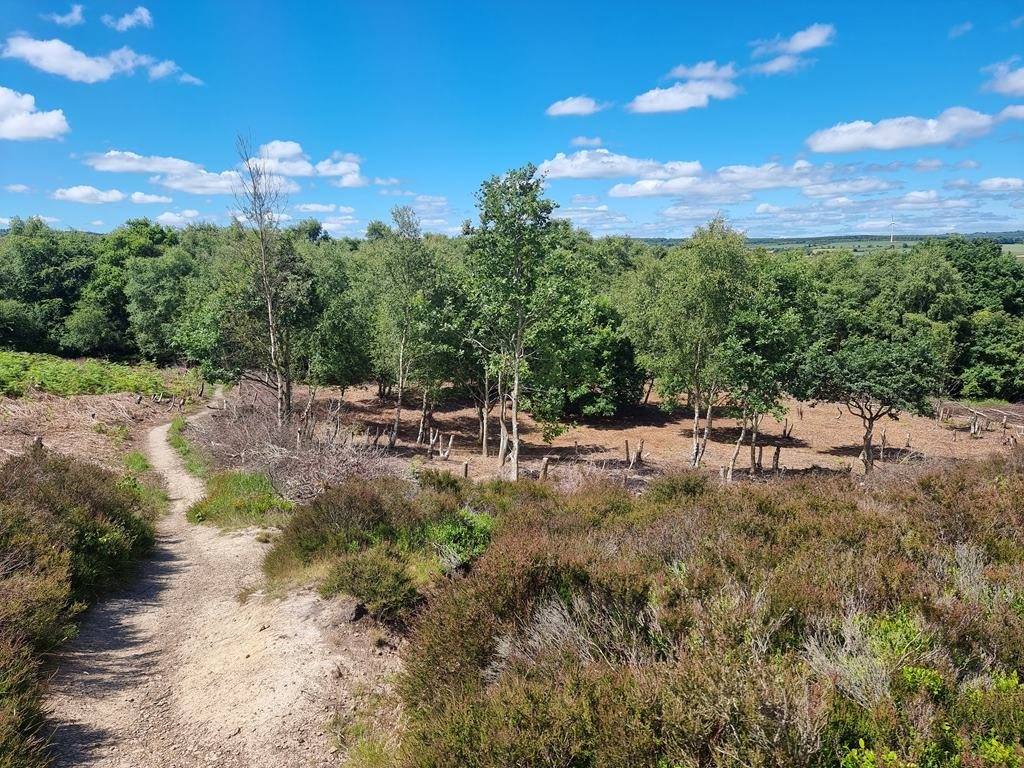 Waldridge Fell Country Park
