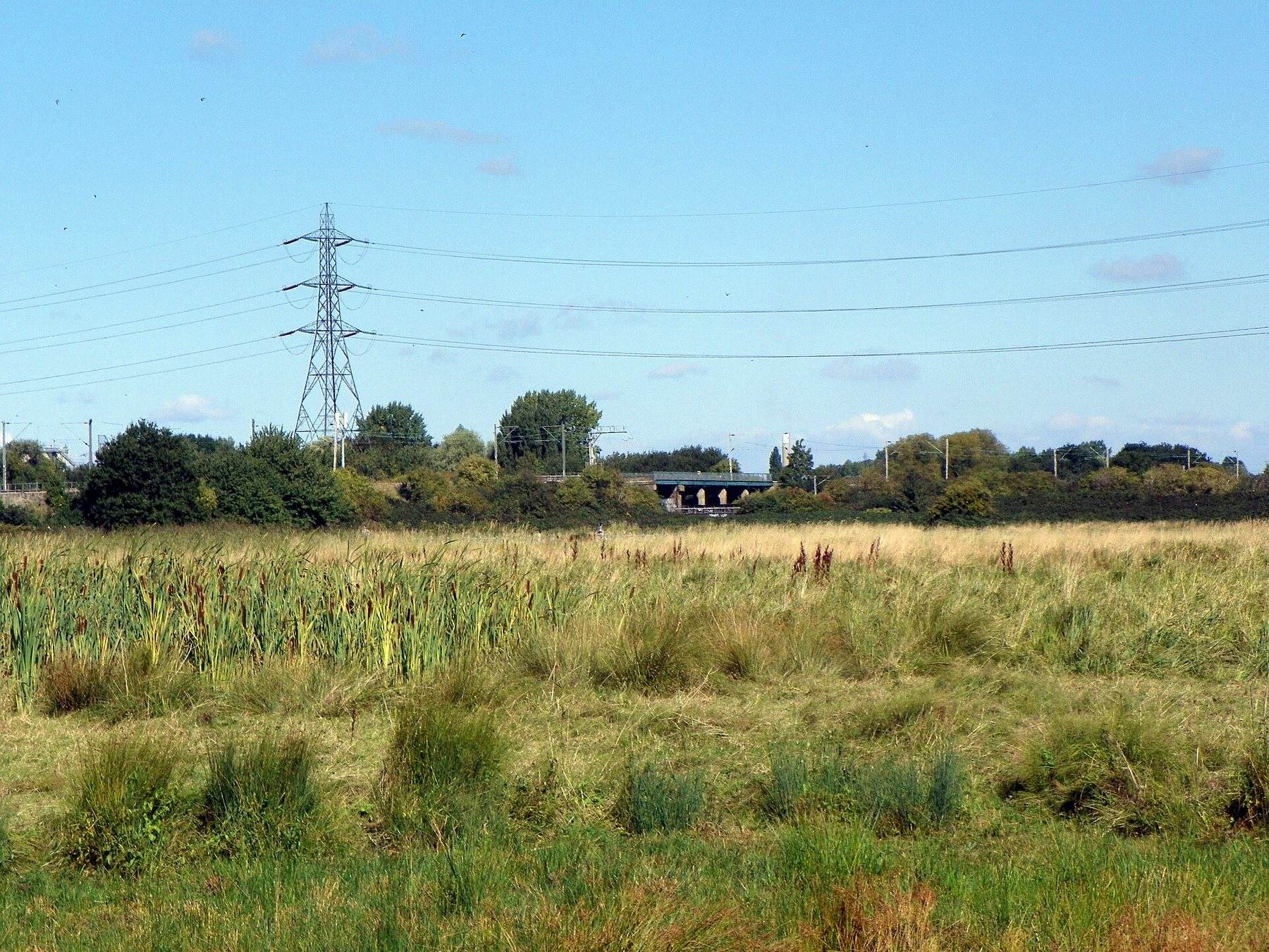 Walthamstow Marshes and Leyton Marsh Circular