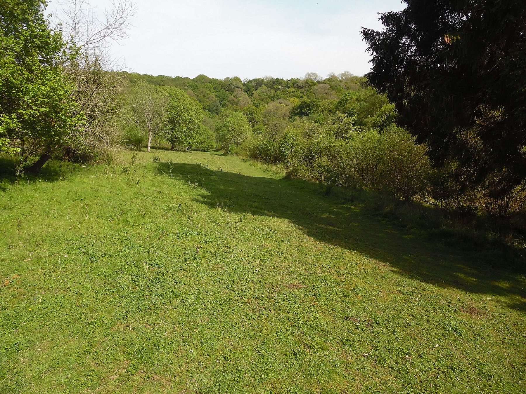 Warburg Nature Reserve Wildlife Walk