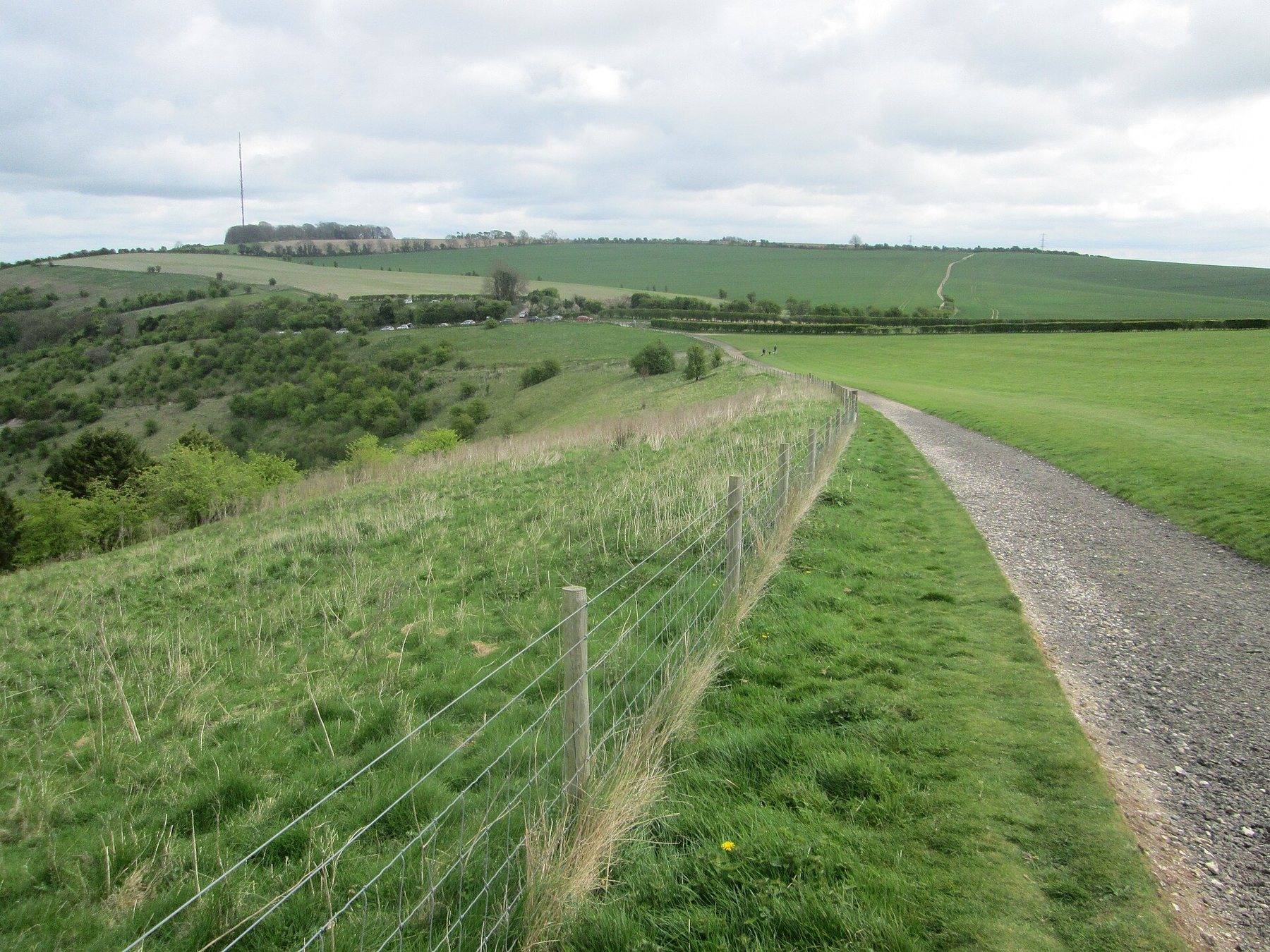 Watership Down