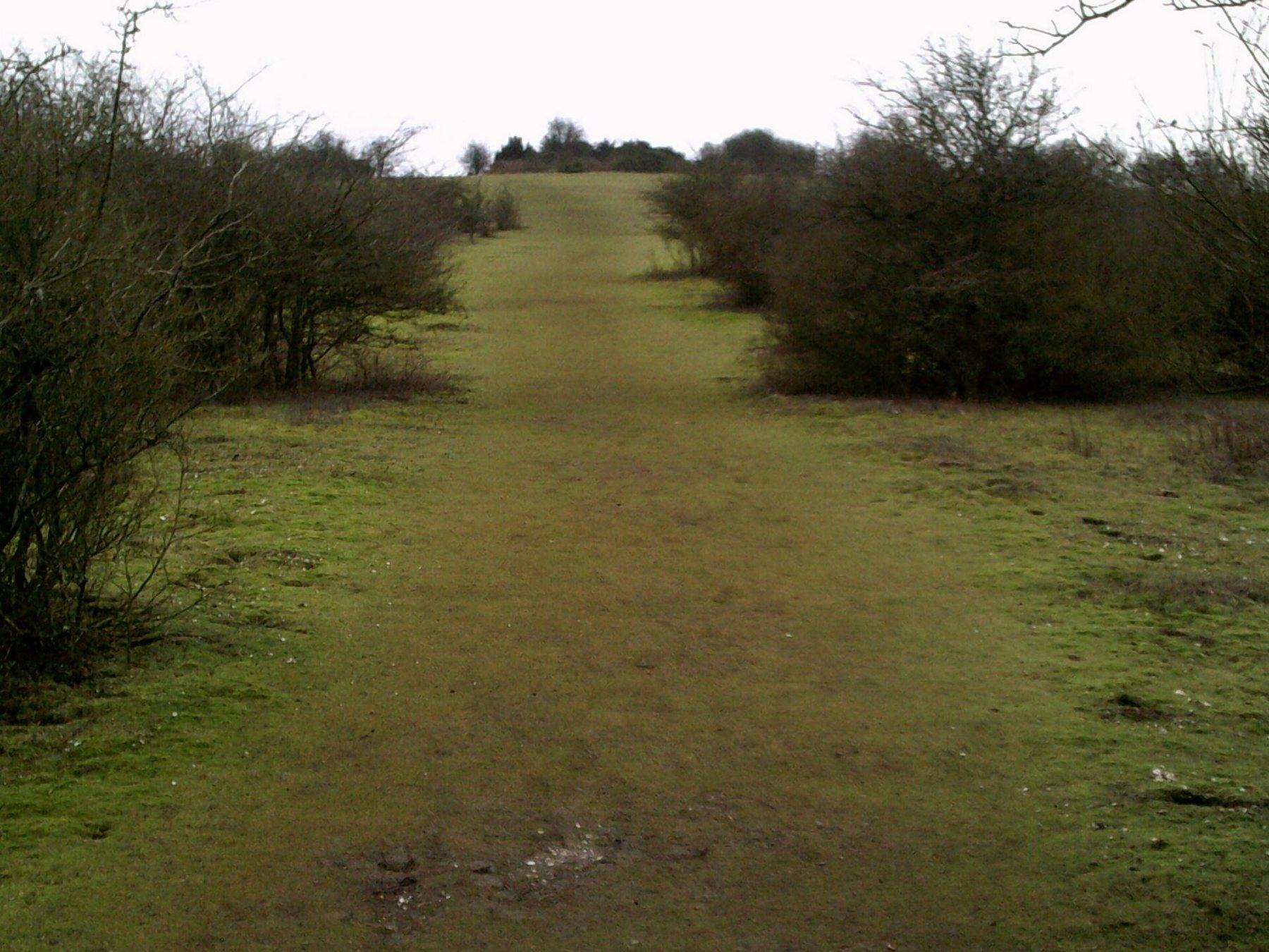 Watlington Hill and the Ridgeway
