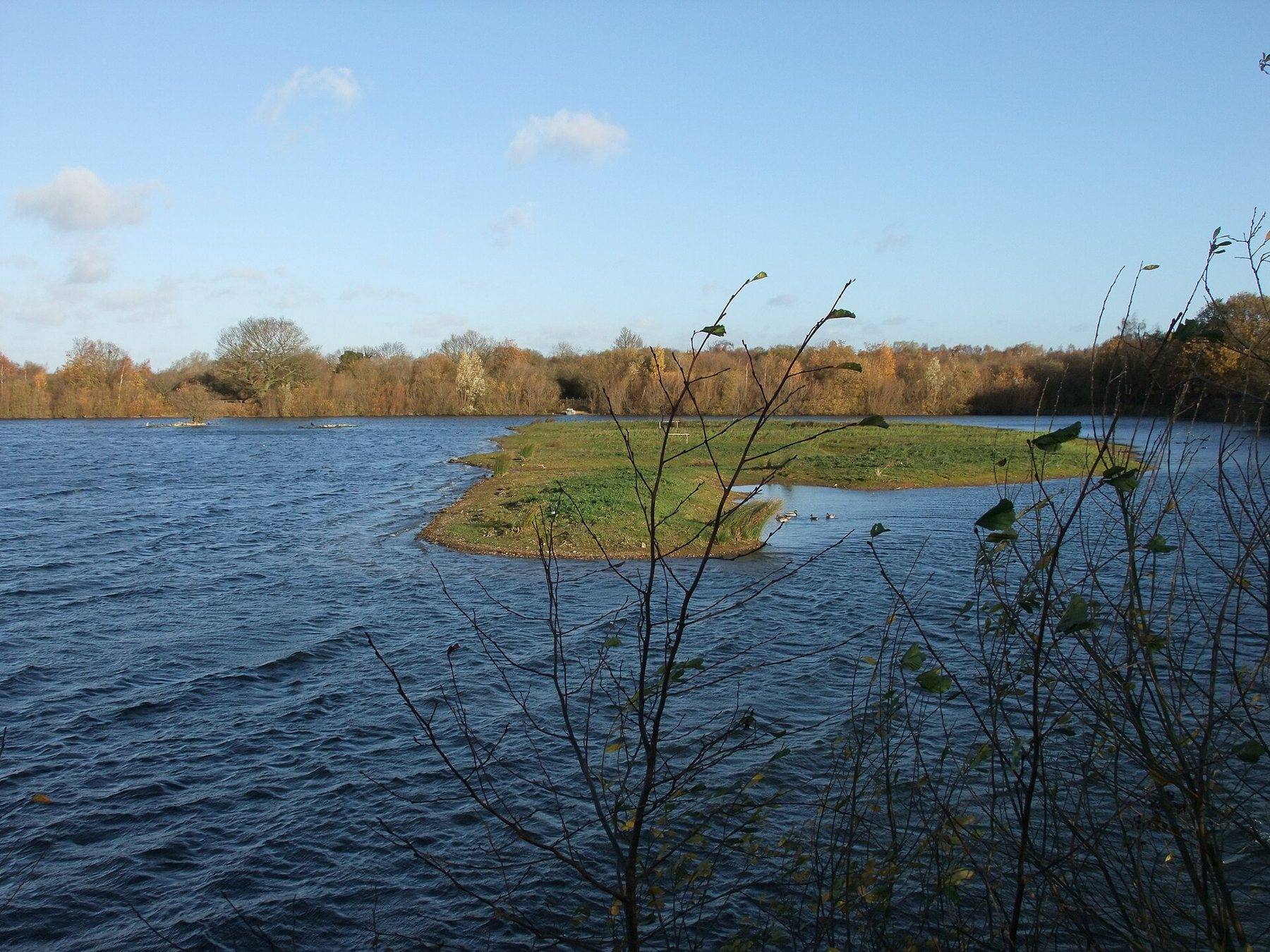 Whisby Nature Park: Thorpe Lake Trail